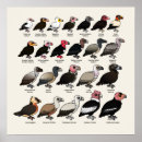 Suche nach wesen poster Niedlich