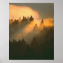 Suche nach mammutbaum poster Wald