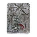 Suche nach barn magnete Schnee