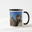 Suche nach sahara tassen Afrika