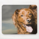Suche nach teil von mousepads Nahaufnahme