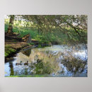 Suche nach enten im flug poster Tierwelt
