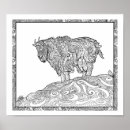 Suche nach weiße ziege poster Berg