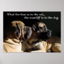 Suche nach zitate über hunde poster Foto