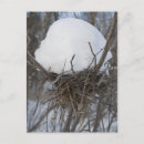 Suche nach birds postkarten Winter