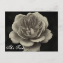 Suche nach begräbnis danken ihnen karten Trauerfall