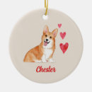 Suche nach pembroke welsh corgi ornamente Korgi