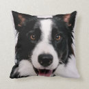 Suche nach border collie kissen Tiere