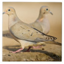 Suche nach lebensraum fliesen Usa