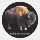 Suche nach amerikanischer bison aufkleber Tierwelt