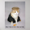 Suche nach scottish fold poster Katze