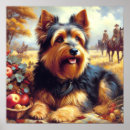 Suche nach australischer terrier Welpe