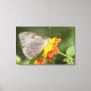 Suche nach blumenkopf poster Nahaufnahme