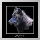 Suche nach wildlife poster Wolf
