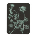 Suche nach minze magnete Blumengestelle