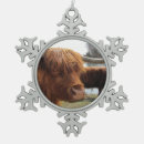 Suche nach ochsen ornamente Tiere