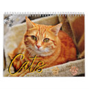 Suche nach schöne katzen kalender Katzenliebhaber