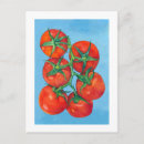 Suche nach rote tomaten postkarten Reif