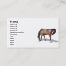 Suche nach braunes pferd visitenkarten Weiß