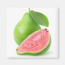 Suche nach pinkfarbener magnete Rosa