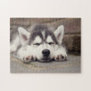 Suche nach sibirischer husky puzzle Hund