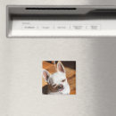 Suche nach entspannt magnete Hund