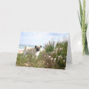 Suche nach pug karten Puppy