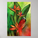 Suche nach paradiesvogel poster Florale