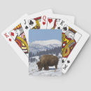 Suche nach amerikanisch spielkarten Natur