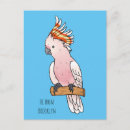 Suche nach kakadu postkarten Vogel