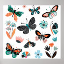 Suche nach sammlung poster Schmetterling
