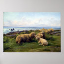 Suche nach rosa bonheur poster Schafe