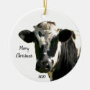 Suche nach kuh ornamente Gewohnheit