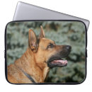 Suche nach schäferhund laptop schutzhüllen Foto