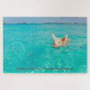 Suche nach schweinen puzzle Für kinder