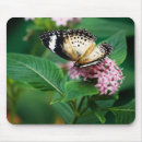 Suche nach wing mousepads Natur