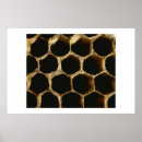 Suche nach bienenwabe poster Bienenstock