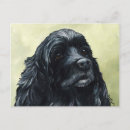 Suche nach cocker spaniel hunde postkarten Welpe