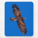 Suche nach im flug mousepads Raubvogel