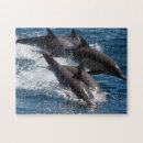 Suche nach delphin puzzle Ozean