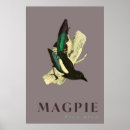 Suche nach bunte vögel poster Naturkunst