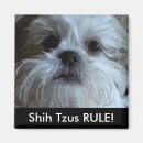 Suche nach hundemagneten magnete Dogs
