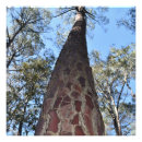 Suche nach ponderosa poster Natur