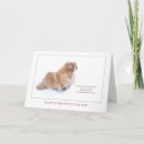 Suche nach pekingese Freund
