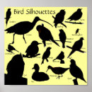 Suche nach bird silhouette poster Wildlife