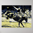 Suche nach schwarze pferde poster Rodeo