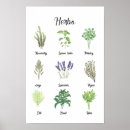 Suche nach kräuter und gewürze poster Aquarell