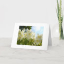 Suche nach jasmin blume karten Natur