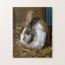Suche nach rabbit puzzle Niedlich