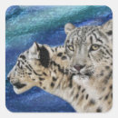 Suche nach katze im schnee aufkleber Tier